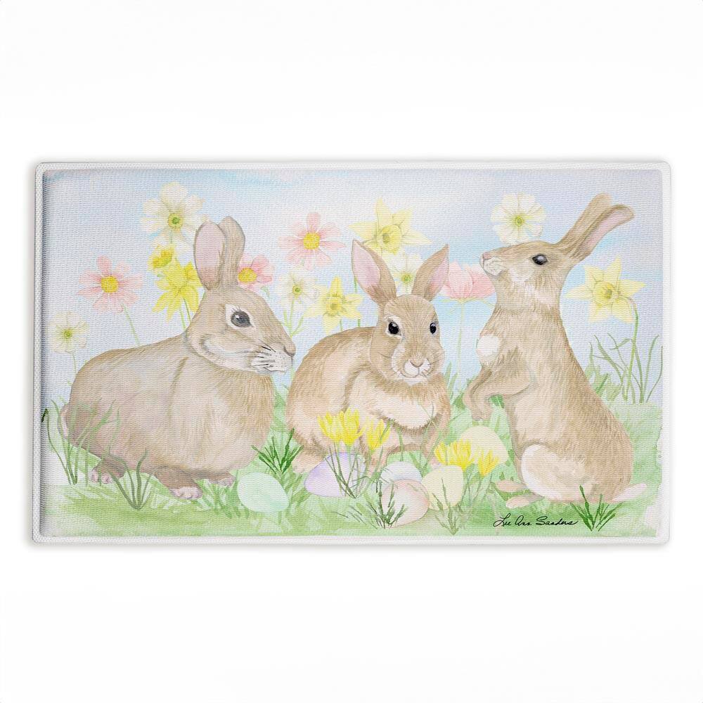 Easter Bunnies in Grass 18 in. x 30 in. Brown Graphic Polyester Blend Rectangle Bath Mat price history on PriceWatchPro
