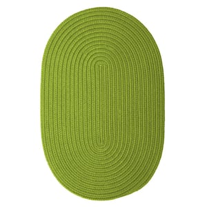 Trends Limelight 2 ft. x 3 ft. Oval Braided Area Rug