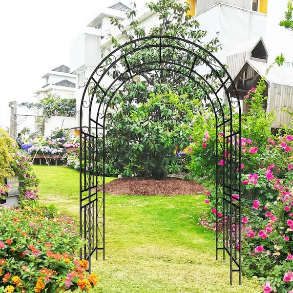 Metal Garden Arch L59'' x W17. 71'' x H90. 55'' Climbing Plants