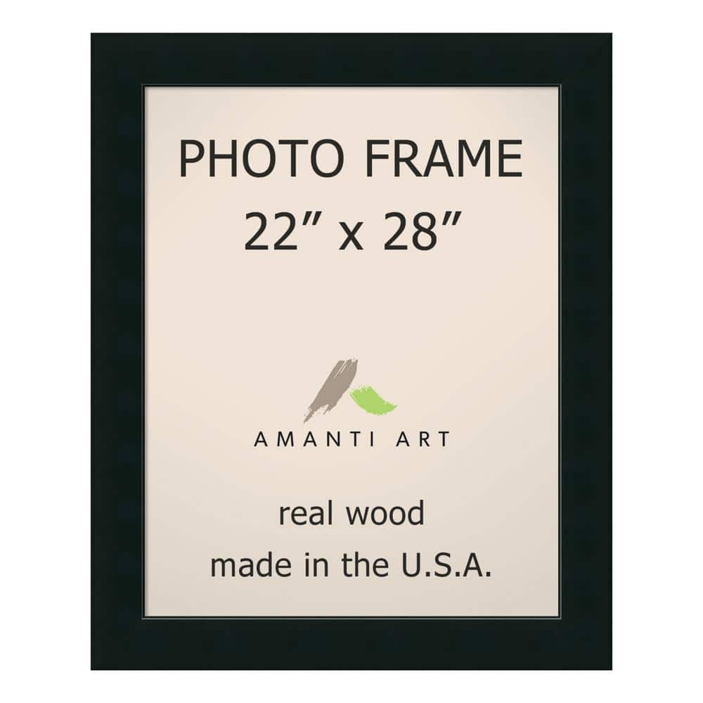 Corvino 22 in. x 28 in. Black Picture Frame