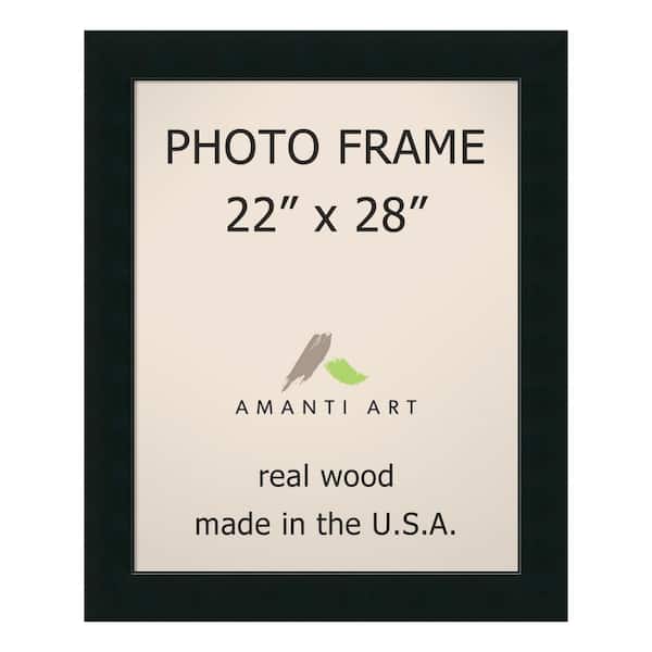 Amanti Art Corvino 22 in. x 28 in. Black Picture Frame