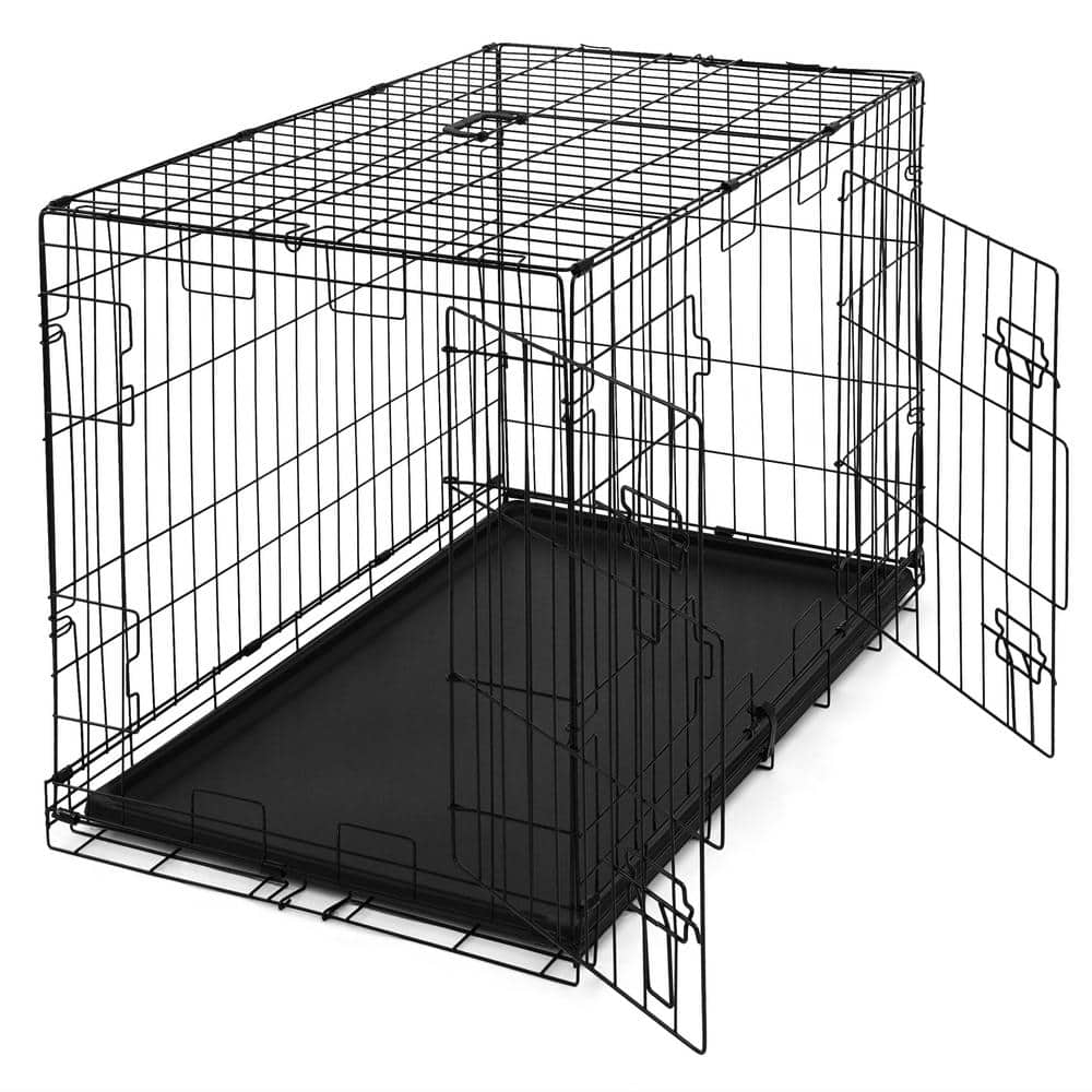 Foldable Black Metal Dog Crate with Double Doors