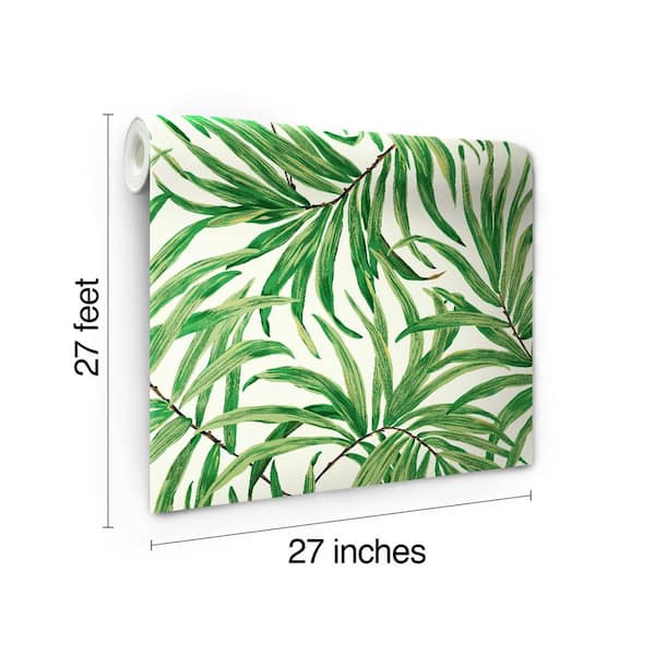 White/Green York Wallcoverings AT7050 Tropics Bali Leaves Wallpaper