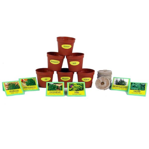seed pods for planting 12 Seed Pods Smart Garden, White main image 0