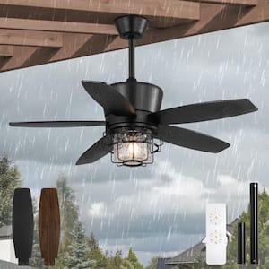 HINNIXY 42 in. Black Standard Downrod Outdoor Ceiling Fan Light