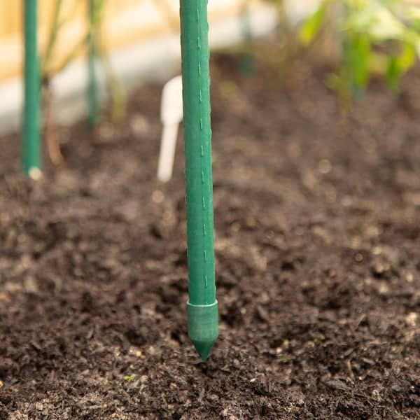 Gardener's Blue Ribbon Sturdy Stakes, 8 