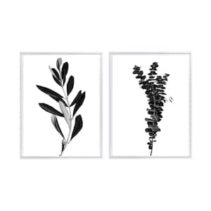 Olive and Eucalyptus Branches Framed Canvas Wall Art - 16 in. x 24 in. Each, by Kelly Merkur 2-Piece Set White Frames