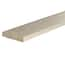 1 in. x 4 in. x 8 ft. Furring Strip Board