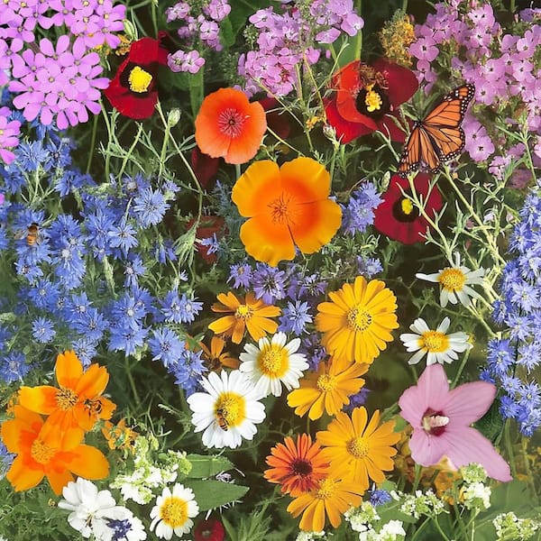 1 lb. Annual Mix Bulk Flower Seeds