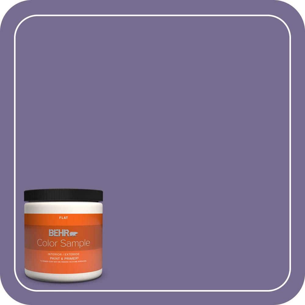 8 oz. #650D-6 Purple Silhouette Flat Interior/Exterior Paint & Primer Color Sample price history on PriceWatchPro