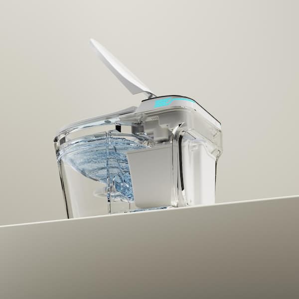 WELLFOR Elongated Smart Bidet Toilet with Voice Control and Heated Seat