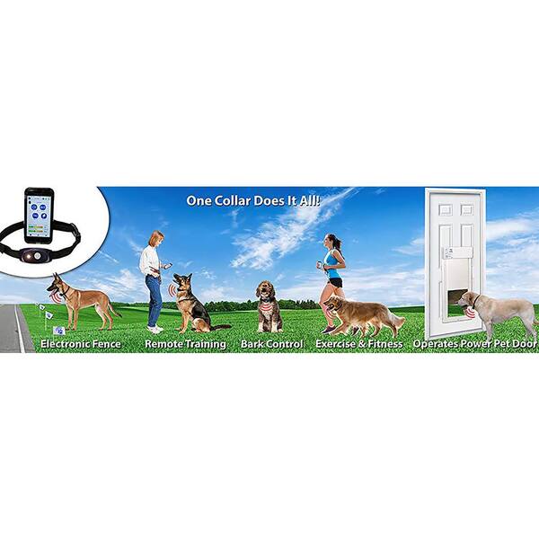 remote control dog door