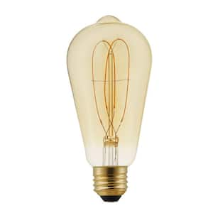 40-Watt Equivalent ST19 Dimmable M-Shape Filament LED Vintage Edison Light Bulb Amber (1-Pack)