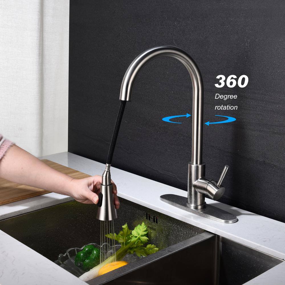 Stainless Steel Single Handle Pull-Out Spray Kitchen Faucet