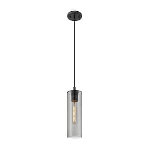 Crown Point 100-Watt 1 Light Matte Black Shaded Pendant Light with Tinted glass Tinted Glass Shade