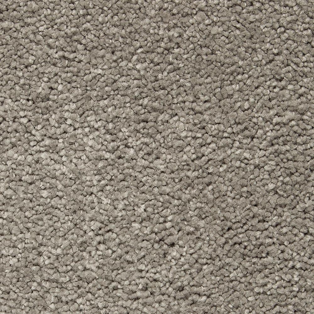8 in. x 8 in. Texture Carpet Sample - Castle I -Color Cinder Fox price history on PriceWatchPro