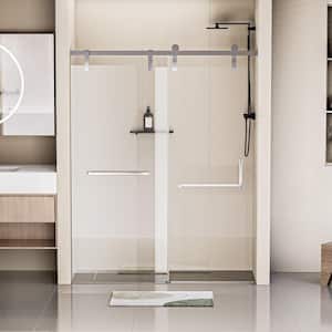 Moray 60 in. W x 76 in. H Frameless Stainless Steel Single Sliding Shower Door in Chrome 5/16 in. Tempered Clear Glass