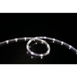 48 ft. Cool White All Occasion Indoor Outdoor LED Rope Light 360Directional Shine Decoration