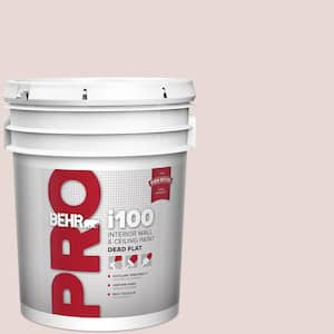 5 gal. #PPU17-07 Vienna Lace Dead Flat Interior Paint