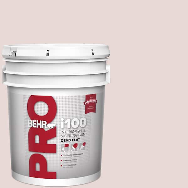 5 gal. #PPU17-07 Vienna Lace Dead Flat Interior Paint