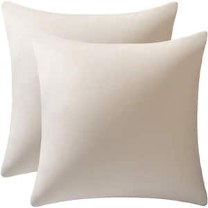 Outdoor Couch Pillow Covers 22x22 Cream: 2 Pack Cozy Soft Velvet Square Throw Pillow Cases for Farmhouse Home Decor