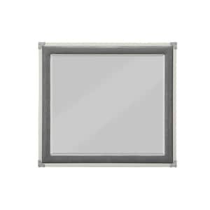 Orchest Modern Rectangle Mirror in Gray Framed 40 x 2