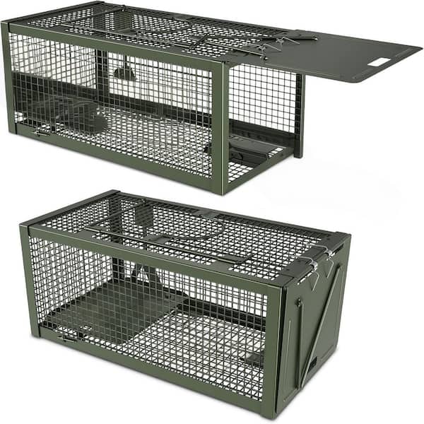 2 Pack Mousetrap, Rat, Chipmunk, Trap and Other Live Animal Cage Catch and Release for Indoor and Outdoor-Green