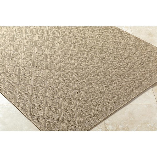 Sandra SDR-2317 6 ft. 7 in. x 9 ft. Indoor/Outdoor Area Rug, Brown
