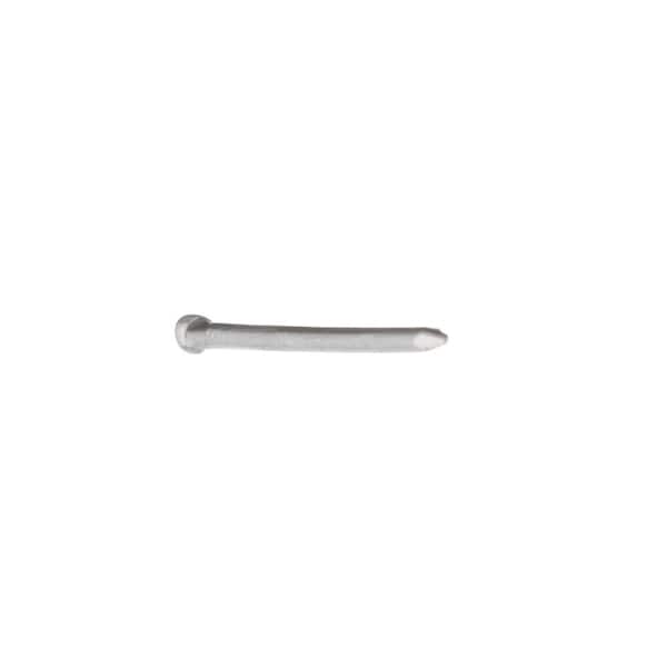Everbilt #16 x 1-1/4 in. Stainless Wire Brads (1 oz.) 802644 - The