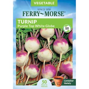 Turnip Purple Top White Globe Vegetable Seed