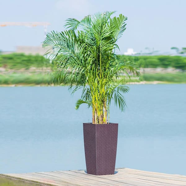 Seafuloy 1-Piece 30. 12in. Dark Brown Polypropylene Square Planter