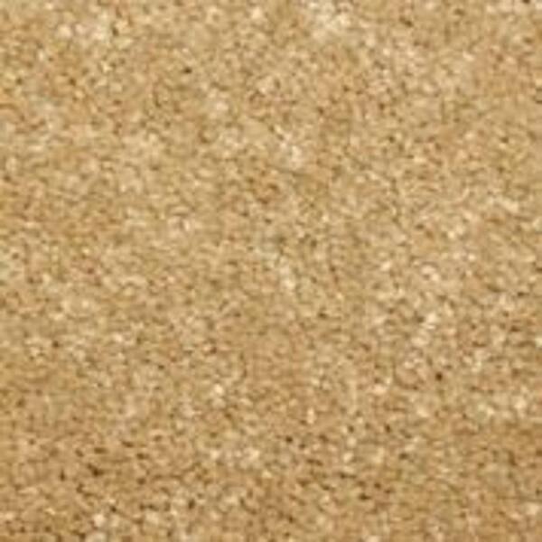 Home Decorators Collection Sycamore I - Teak - Brown 45 oz. SD Polyester Texture Installed Carpet