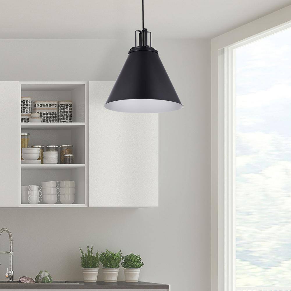 Matte Black 14" Indoor/Outdoor Drum Pendant Light