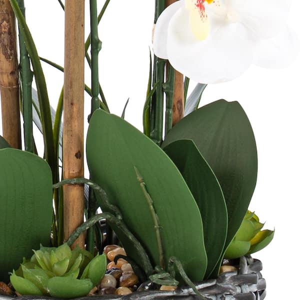 Vanity Art 27.95 in. H Phalaenopsis Orchids Floral Arrangement in Bamboo Woven Pot
