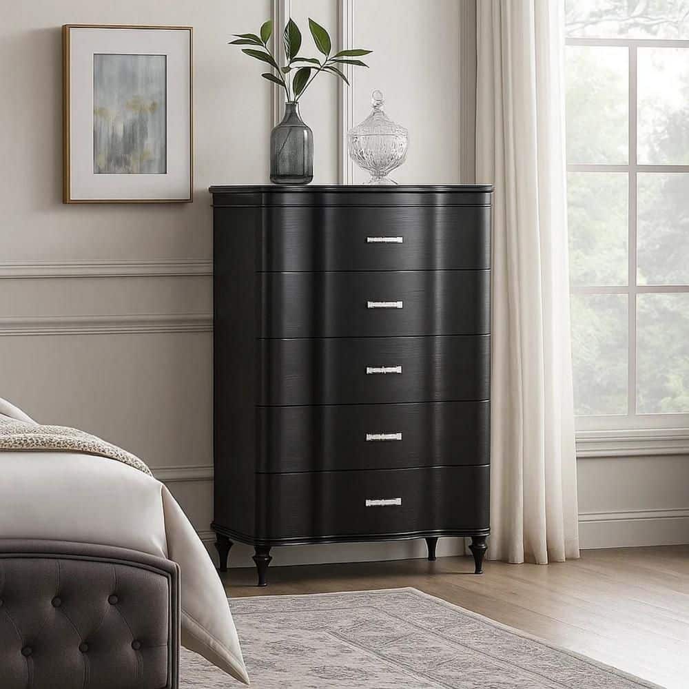 Eleena Black and Chrome 5-Drawer 17 in. Wide Chest of Drawers price history on PriceWatchPro