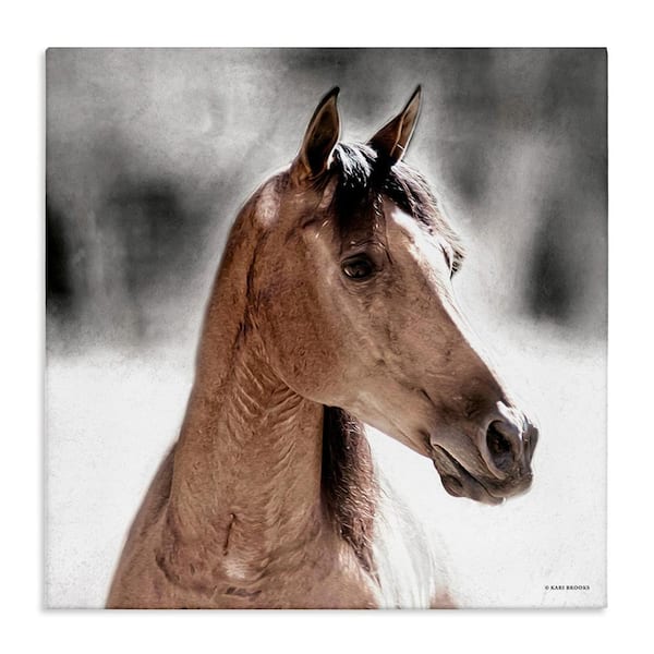 Stupell Industries Brown Foal in Snow by Kari Brooks 1-Piece Unframed Graphic Print Animal Poster Art Print 24 in. x 24 in.