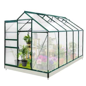 6 ft. W x 10 ft. D x 7 ft. H Outdoor Walk-in Hobby Greenhouse