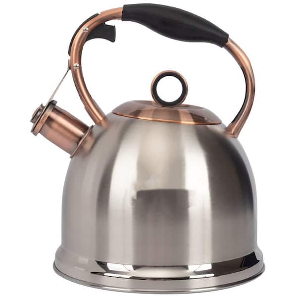 10-Cup Food Grade Stainless Steel Induction Stovetop Tea Kettle, Hot Water Fast to Boil for Stove Top, Silver