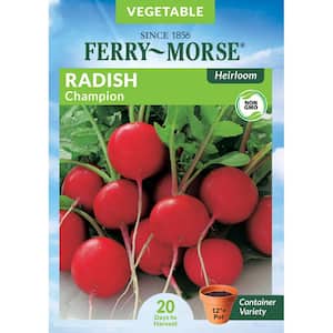 Radish Champion Heirloom Vegetable Seed