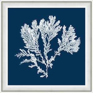 18 in. x 18 in. "Navy Coral I" Framed Giclee Print Wall Art