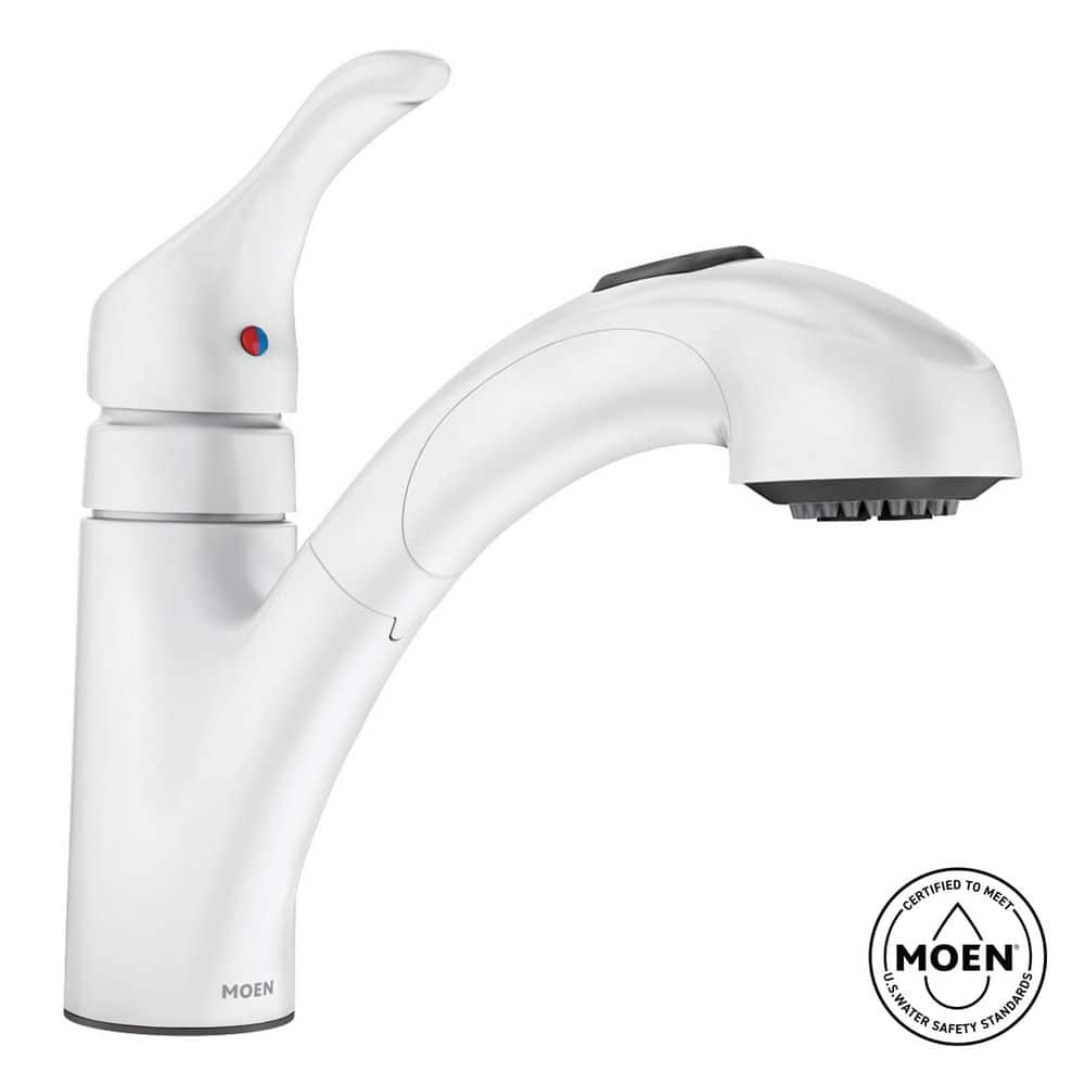 MOEN Renzo Single-Handle Pull-Out Sprayer Kitchen Faucet in Glacier ...