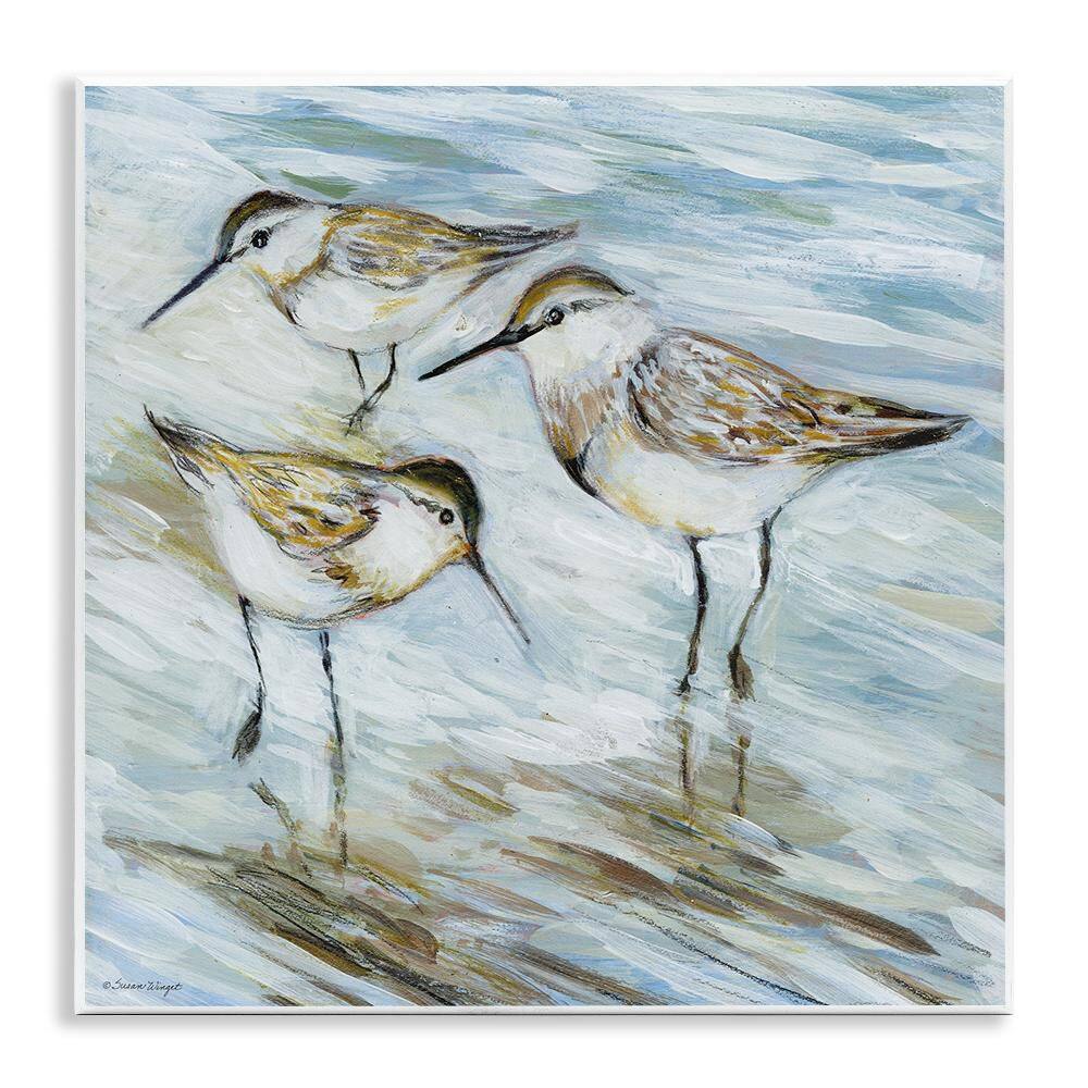 Wetlands Sandpiper Trio by Susan Winget 1 Piece Unframed Animal Graphic Art Print 12 in. x 12 in. price history on PriceWatchPro