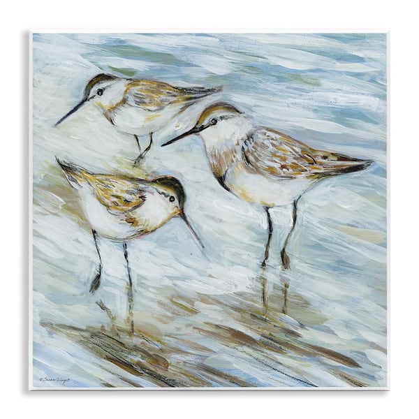 Wetlands Sandpiper Trio by Susan Winget 1 Piece Unframed Animal Graphic Art Print 12 in. x 12 in.