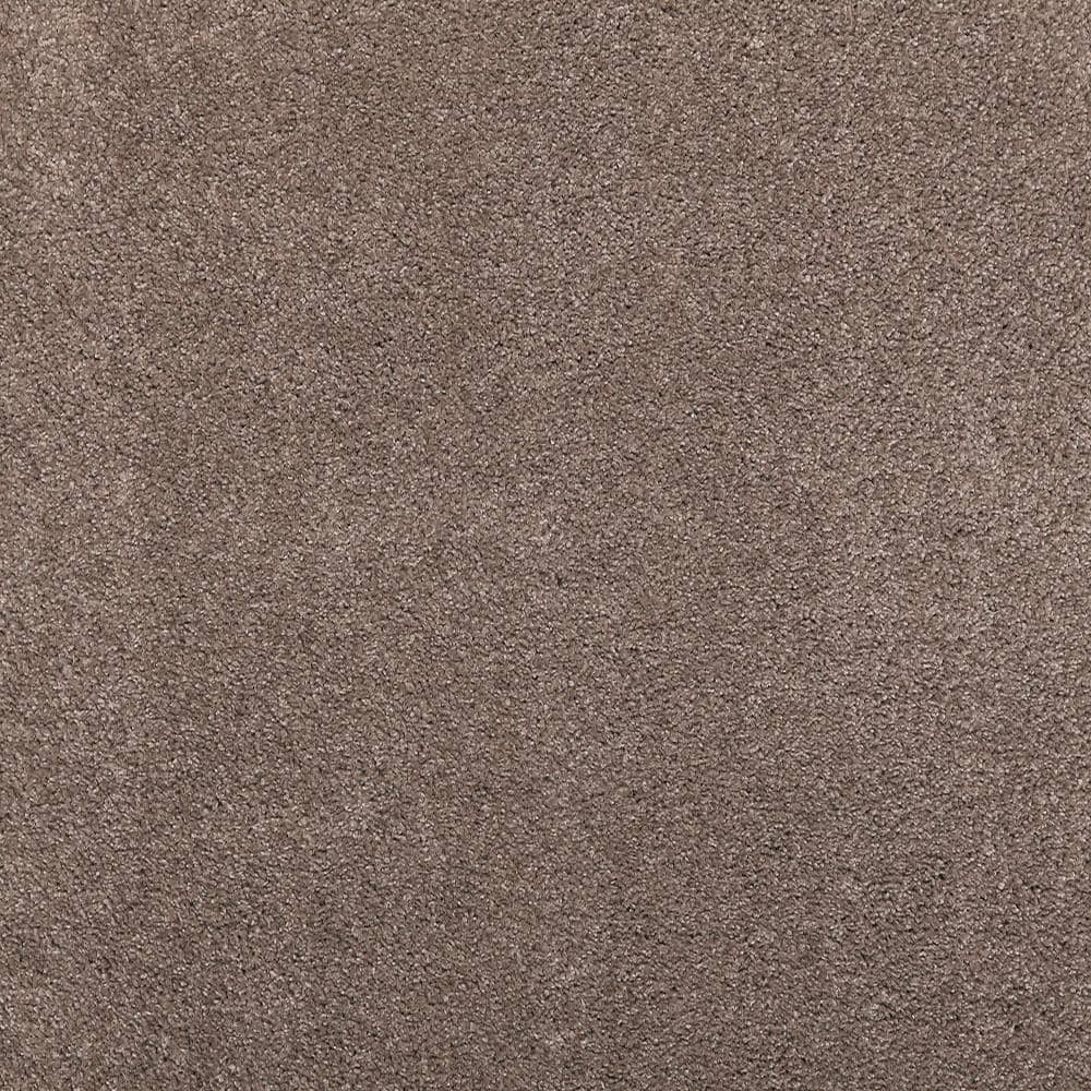 8 in. x 8 in. Texture Carpet Sample - Plush Dreams I -Color Plush price history on PriceWatchPro