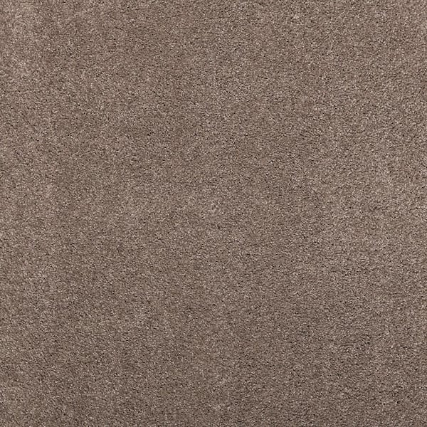 Lifeproof 8 in. x 8 in. Texture Carpet Sample - Plush Dreams I -Color Plush