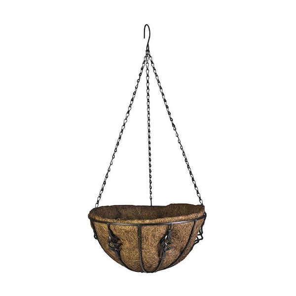 CobraCo Antoinette 14 in. Metal and Coconut Liner Hanging Basket