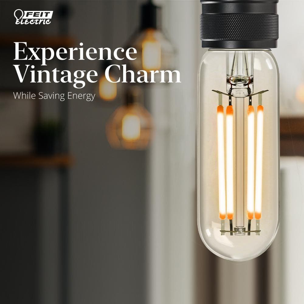 40-Watt Equivalent Clear Glass Edison LED Light Bulbs, Soft White, 6-Pack