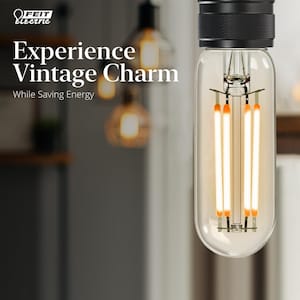 40-Watt Equivalent T6 Dimmable Straight Filament Clear Glass E12 Candelabra Edison LED Light Bulb, Soft White (4-Pack)