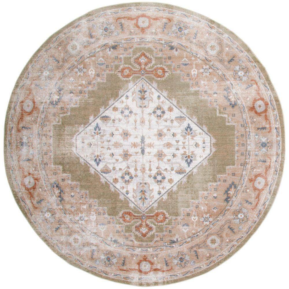 Nourison Sage Multicolor 8 ft. x 8 ft. Distressed Traditional Round ...