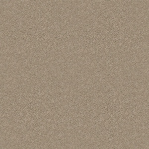 Alpine - Peace - Beige 17.3 oz. Polyester Texture Installed Carpet